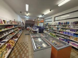 Prodej obchodního prostoru, Suchdol nad Lužnicí, Husova, 401 m2