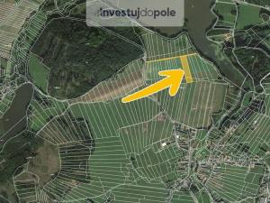 Prodej pole, Neurazy - Vojovice, 3000 m2