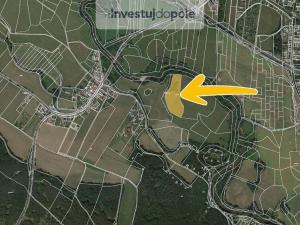 Prodej louky, Třebechovice pod Orebem - Krňovice, 7720 m2