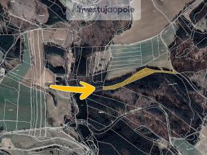 Prodej lesa, Volfířov - Brandlín, 13682 m2