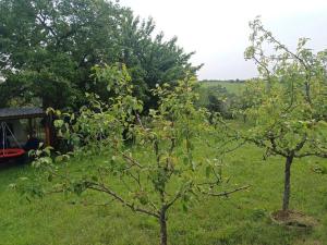 Prodej chaty, Slavkov u Brna, Husova, 92 m2