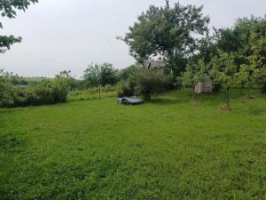 Prodej chaty, Slavkov u Brna, Husova, 92 m2