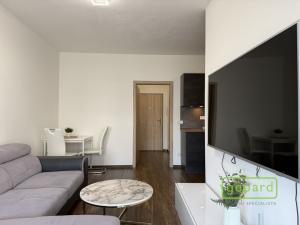 Pronájem bytu 1+kk, Olomouc, Edmunda Husserla, 41 m2