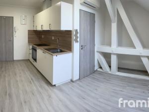 Pronájem bytu 1+kk, Brno - Pisárky, Hlinky, 19 m2