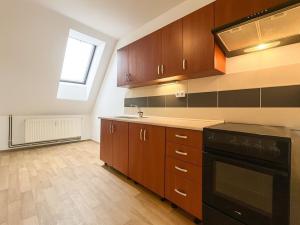Pronájem atypického bytu, Ústí nad Labem - Krásné Březno, Drážďanská, 62 m2