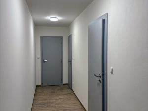 Pronájem bytu 1+kk, Brno, Sukova, 65 m2