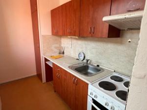 Pronájem bytu 1+1, Frýdek-Místek, Třanovského, 38 m2