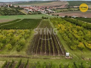 Prodej sadu/vinice, Velké Pavlovice, 5412 m2