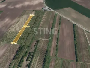 Prodej sadu/vinice, Velké Pavlovice, 5412 m2