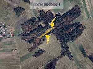 Prodej pole, Krakovany, 3342 m2