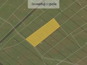 Prodej pole, Moravany, 181591 m2