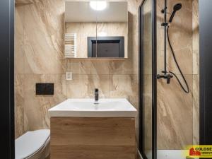 Pronájem bytu 1+1, Brno - Husovice, 28 m2