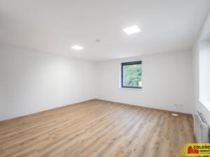 Pronájem bytu 1+kk, Brno - Husovice, 20 m2