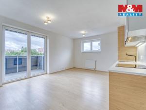 Pronájem bytu 1+kk, Heřmanova Huť - Vlkýš, U Pondu, 34 m2