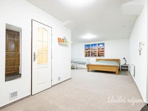 Pronájem bytu 1+kk, Praha - Vinohrady, Mánesova, 63 m2