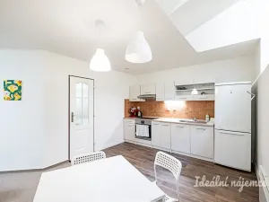 Pronájem bytu 1+kk, Praha - Vinohrady, Mánesova, 63 m2