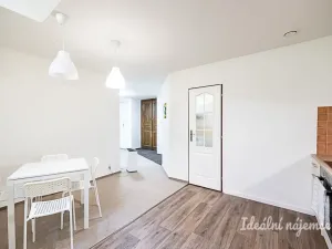 Pronájem bytu 1+kk, Praha - Vinohrady, Mánesova, 63 m2