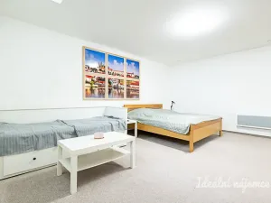 Pronájem bytu 1+kk, Praha - Vinohrady, Mánesova, 63 m2