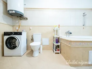 Pronájem bytu 1+kk, Praha - Vinohrady, Mánesova, 63 m2