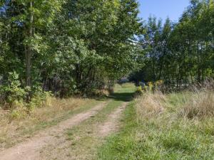 Prodej pozemku pro bydlení, Sušice, 1096 m2