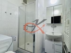 Pronájem bytu 1+1, Valašské Meziříčí, Luční, 38 m2