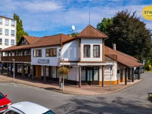 Prodej obchodního prostoru, Český Těšín, Smetanova, 1400 m2