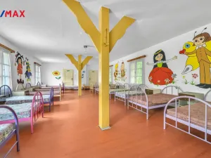 Prodej chalupy, Vysoká Srbská, 900 m2