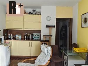 Pronájem bytu 1+kk, Ostrava, U Parku, 25 m2