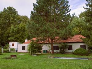 Prodej chaty, Netvořice - Dunávice, 220 m2