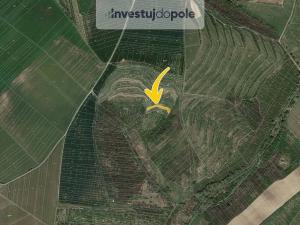 Prodej pole, Hustopeče, 1606 m2