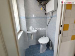 Pronájem bytu 1+1, Poděbrady - Poděbrady II, Říční, 40 m2