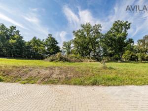Prodej pozemku pro bydlení, Týnec nad Sázavou - Podělusy, 1315 m2