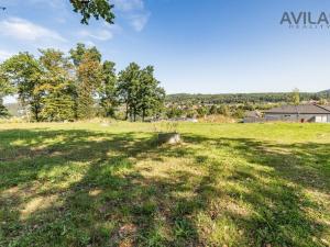 Prodej pozemku pro bydlení, Týnec nad Sázavou - Podělusy, 1315 m2