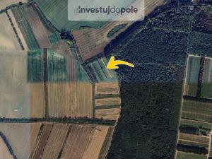 Prodej pole, Moravský Písek, 571 m2