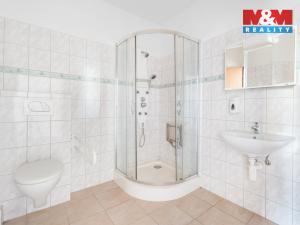 Prodej činžovního domu, Mladé Buky, 566 m2