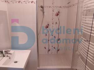 Pronájem bytu 2+1, Olomouc - Nové Sady, Družební, 45 m2