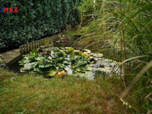 Prodej chalupy, Sobkovice, 160 m2