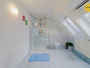 Prodej rodinného domu, Dolní Moravice - Horní Moravice, 420 m2