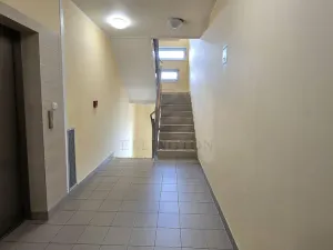 Pronájem bytu 2+kk, Praha - Vysočany, Podkovářská, 53 m2