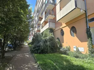 Pronájem bytu 2+kk, Praha - Vysočany, Podkovářská, 53 m2