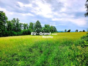 Prodej louky, Zákupy - Šidlov, 7471 m2