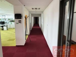 Pronájem kanceláře, Praha - Nusle, Doudlebská, 303 m2