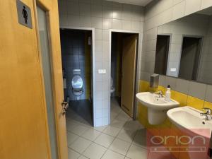 Pronájem kanceláře, Praha - Nusle, Doudlebská, 303 m2