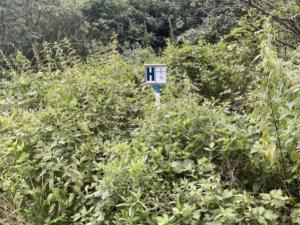 Prodej pozemku pro bydlení, Dívčí Hrad, 938 m2