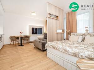 Pronájem bytu 1+kk, Praha - Hodkovičky, Šenácká, 37 m2