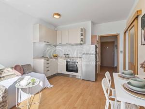 Prodej bytu 2+kk, Praha - Hostivař, Berlínská, 42 m2