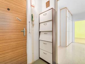 Prodej bytu 1+1, Tábor, Moskevská, 42 m2