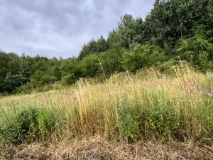 Prodej pozemku pro bydlení, Psáry, 10300 m2