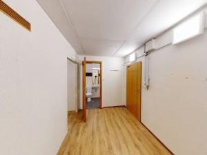 Pronájem skladu, Praha - Žižkov, Malešická, 40 m2