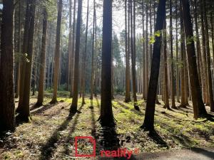 Prodej chaty, Hrádek, 92 m2